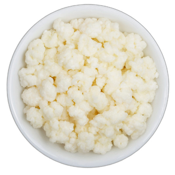 Milk Kefir Grains (40 Grams)