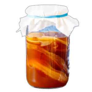 Kombucha Scoby (Starter Tea)