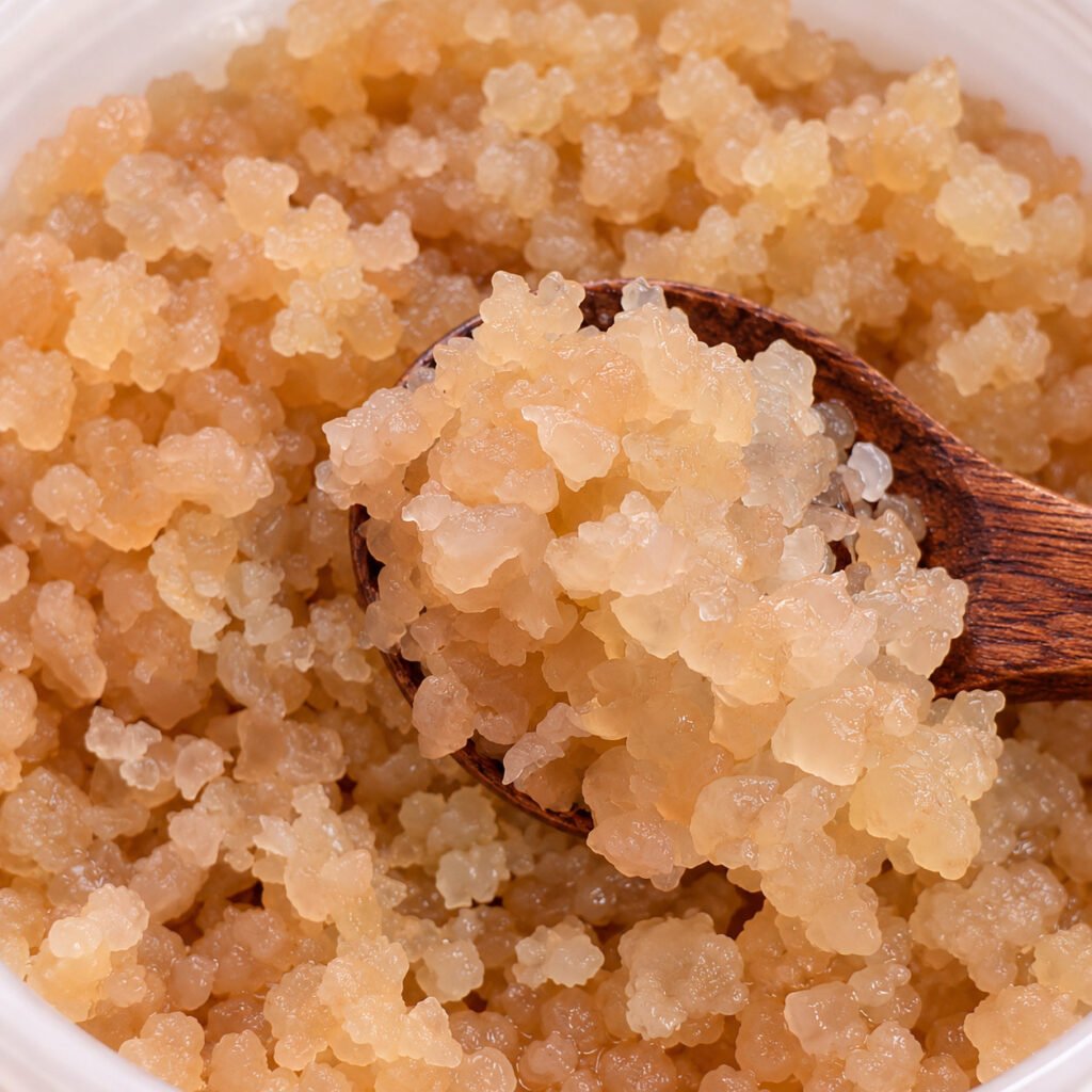 Water Kefir Grains Fresh Culture